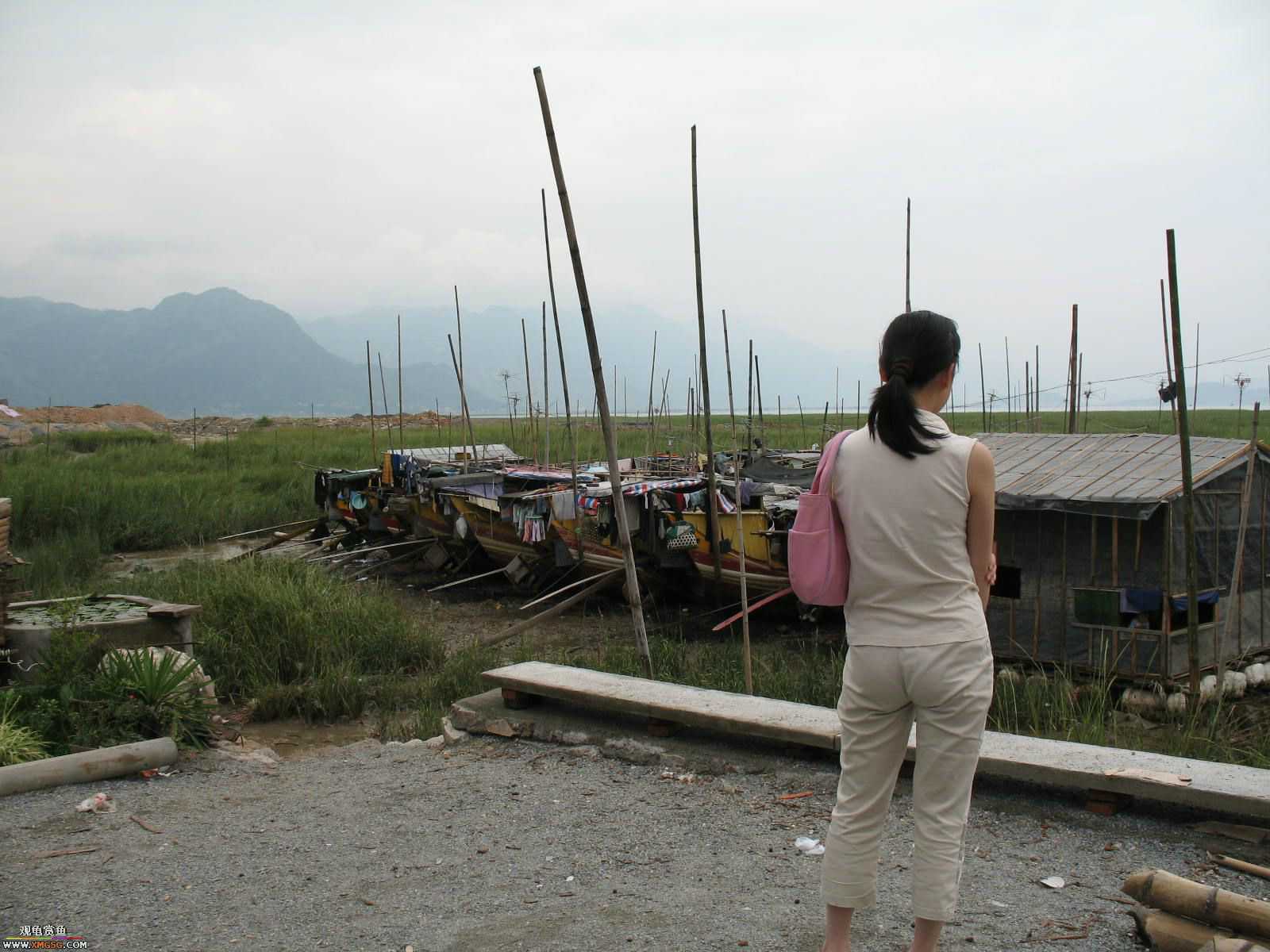 �����������ȥ����