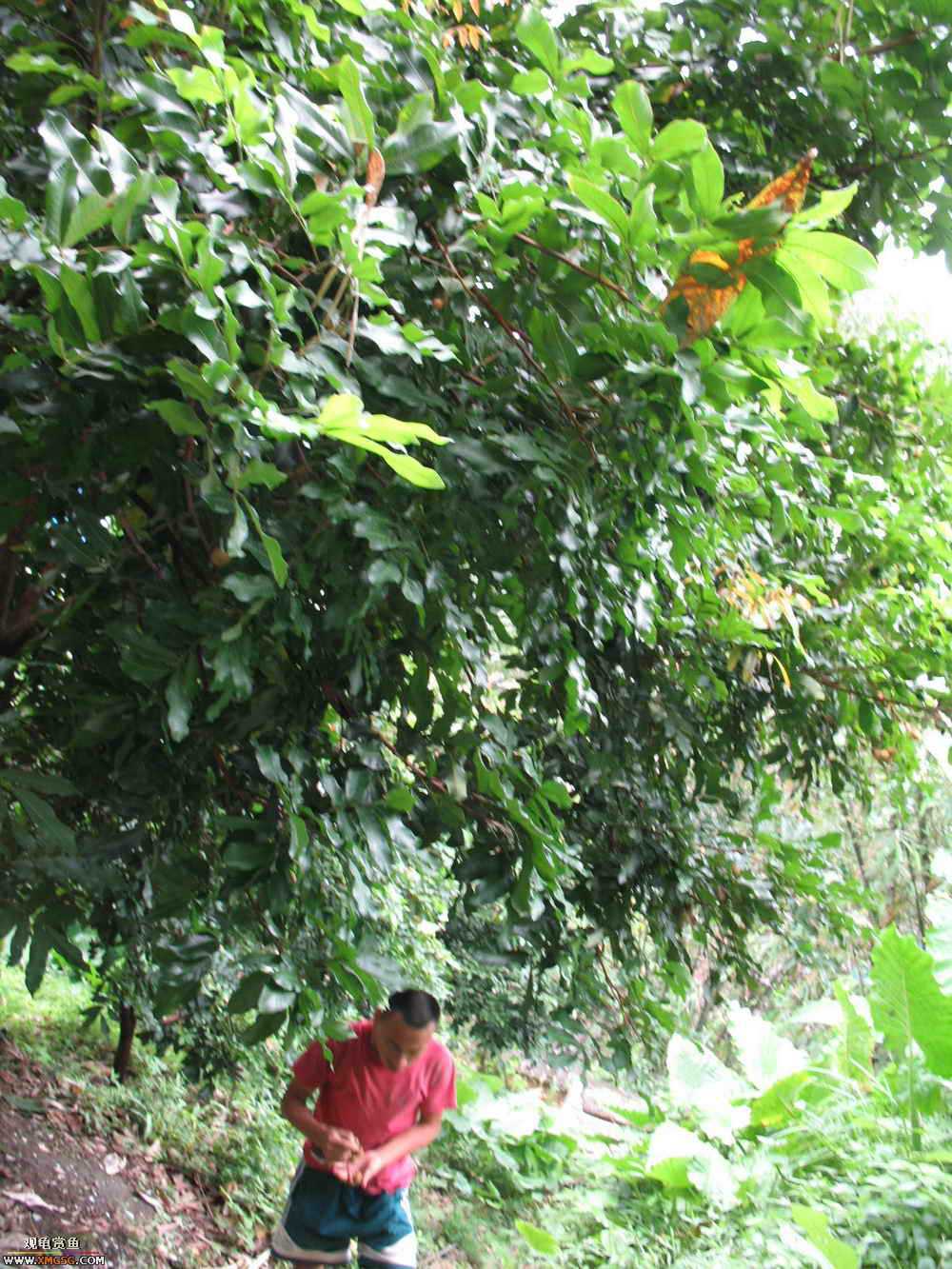 �����������ȥ����