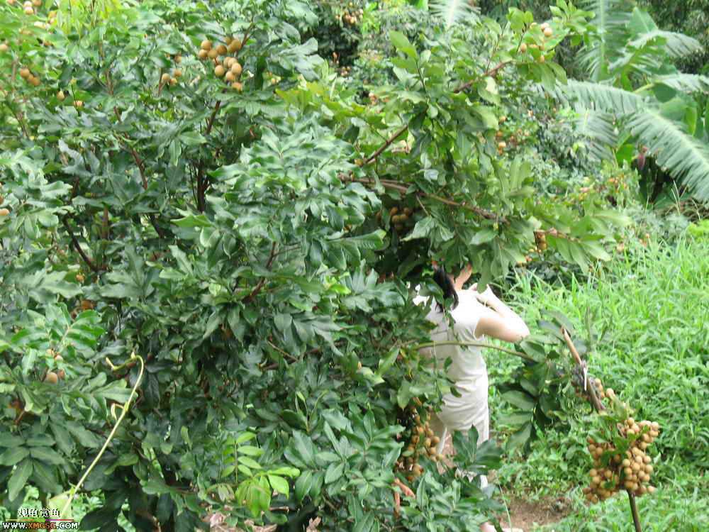 �����������ȥ����