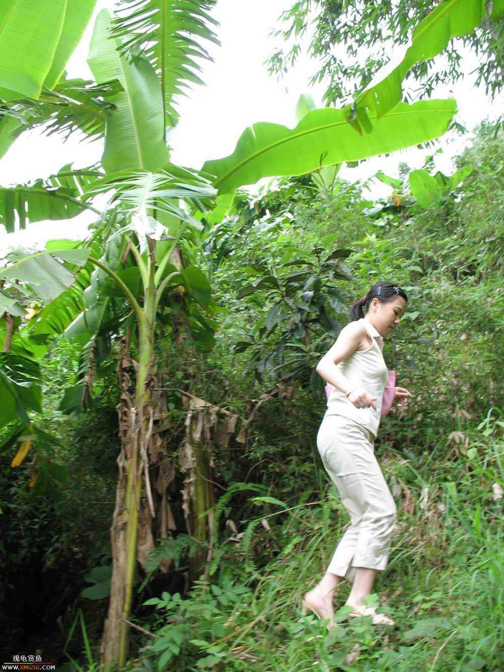 �����������ȥ����