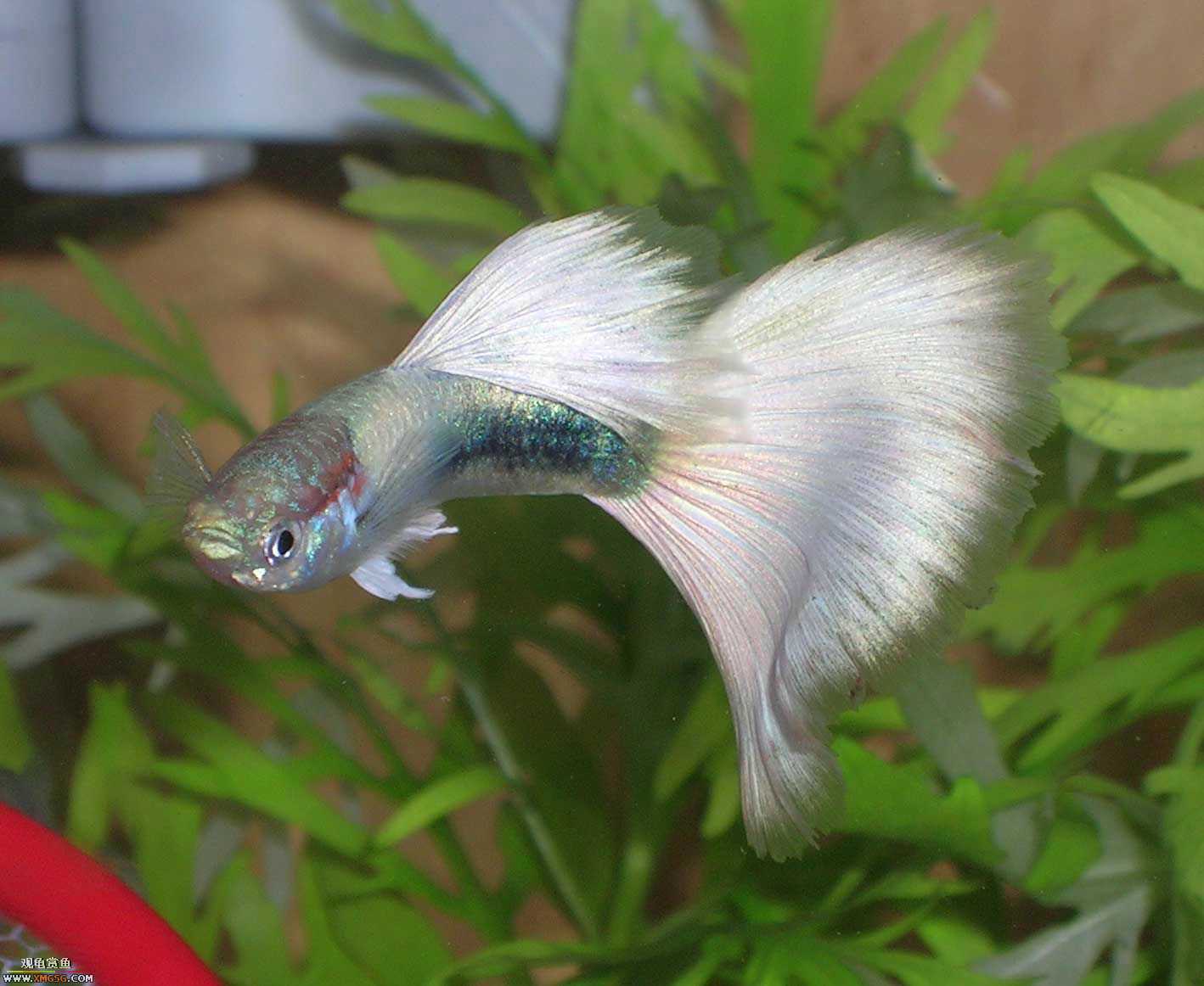 ��ϵ�����