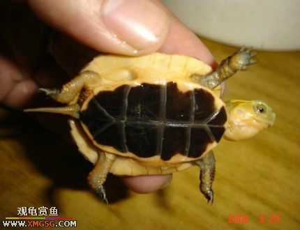 ����ǿǿ��!��ʱ���б���������������ܱ���������ע�⣡��