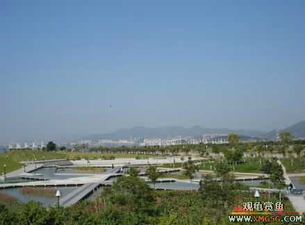 ������Ӱ