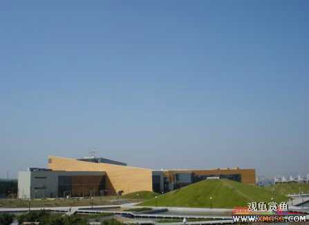 ������Ӱ