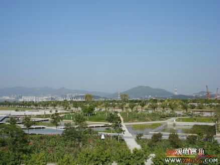 ������Ӱ