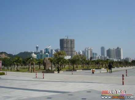 ������Ӱ