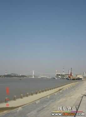 ������Ӱ