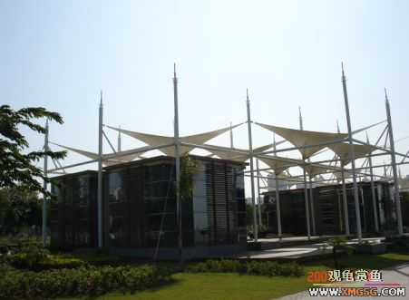 ������Ӱ