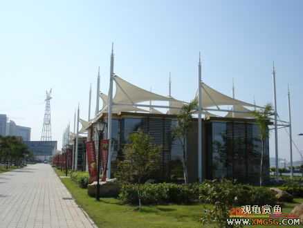 ������Ӱ