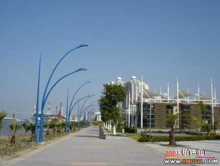 ������Ӱ