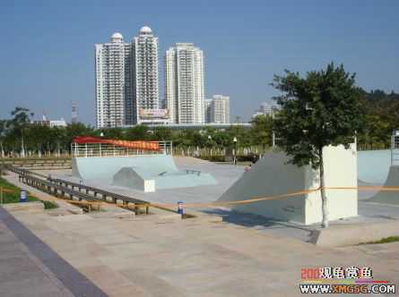 ������Ӱ