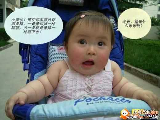 [ת��]ż���뵱��