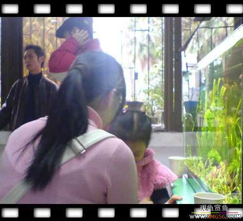 [ԭ��]1��21�ղ��伯��FB��PP [ 2 ] (Ϊ�˼Ӿ�)