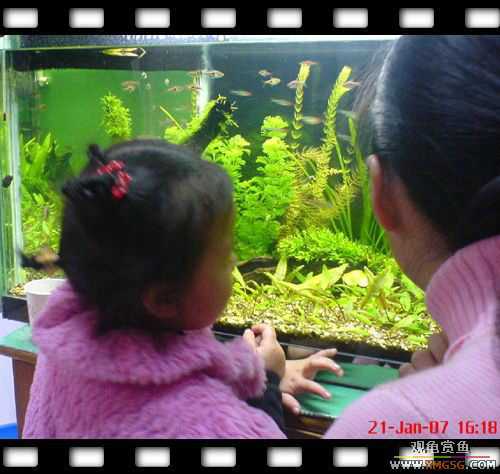 [ԭ��]1��21�ղ��伯��FB��PP [ 2 ] (Ϊ�˼Ӿ�)