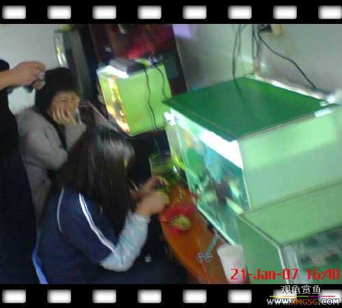 [ԭ��]1��21�ղ��伯��FB��PP [ 2 ] (Ϊ�˼Ӿ�)