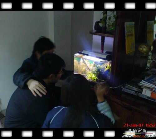 [ԭ��]1��21�ղ��伯��FB��PP [ 2 ] (Ϊ�˼Ӿ�)