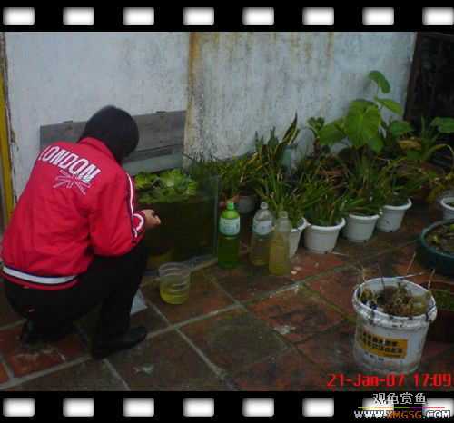 [ԭ��]1��21�ղ��伯��FB��PP [ 2 ] (Ϊ�˼Ӿ�)