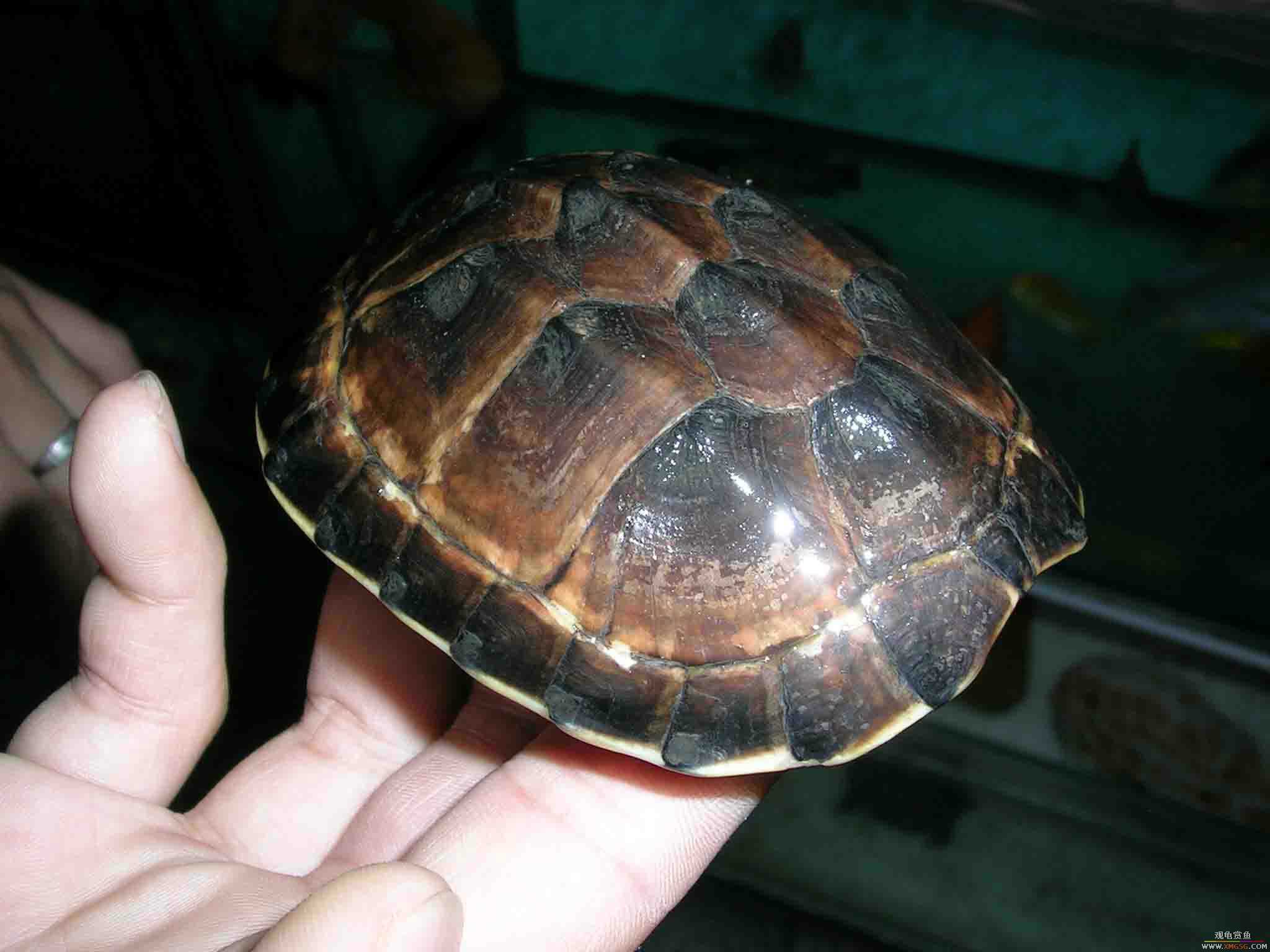 [ԭ��]1��21���伯��FB��PP(3)