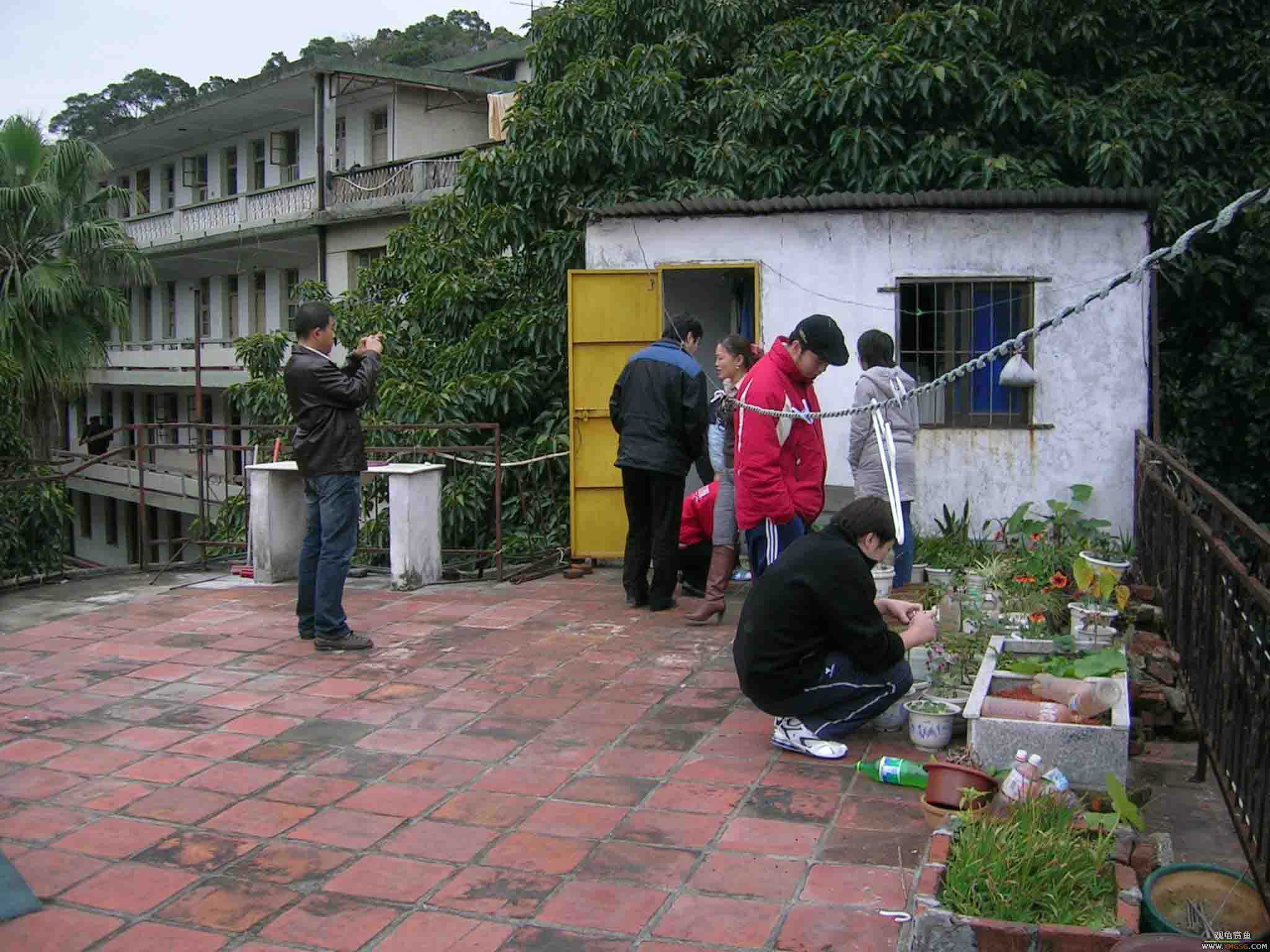 [ԭ��]1��21���伯��FB��PP(3)