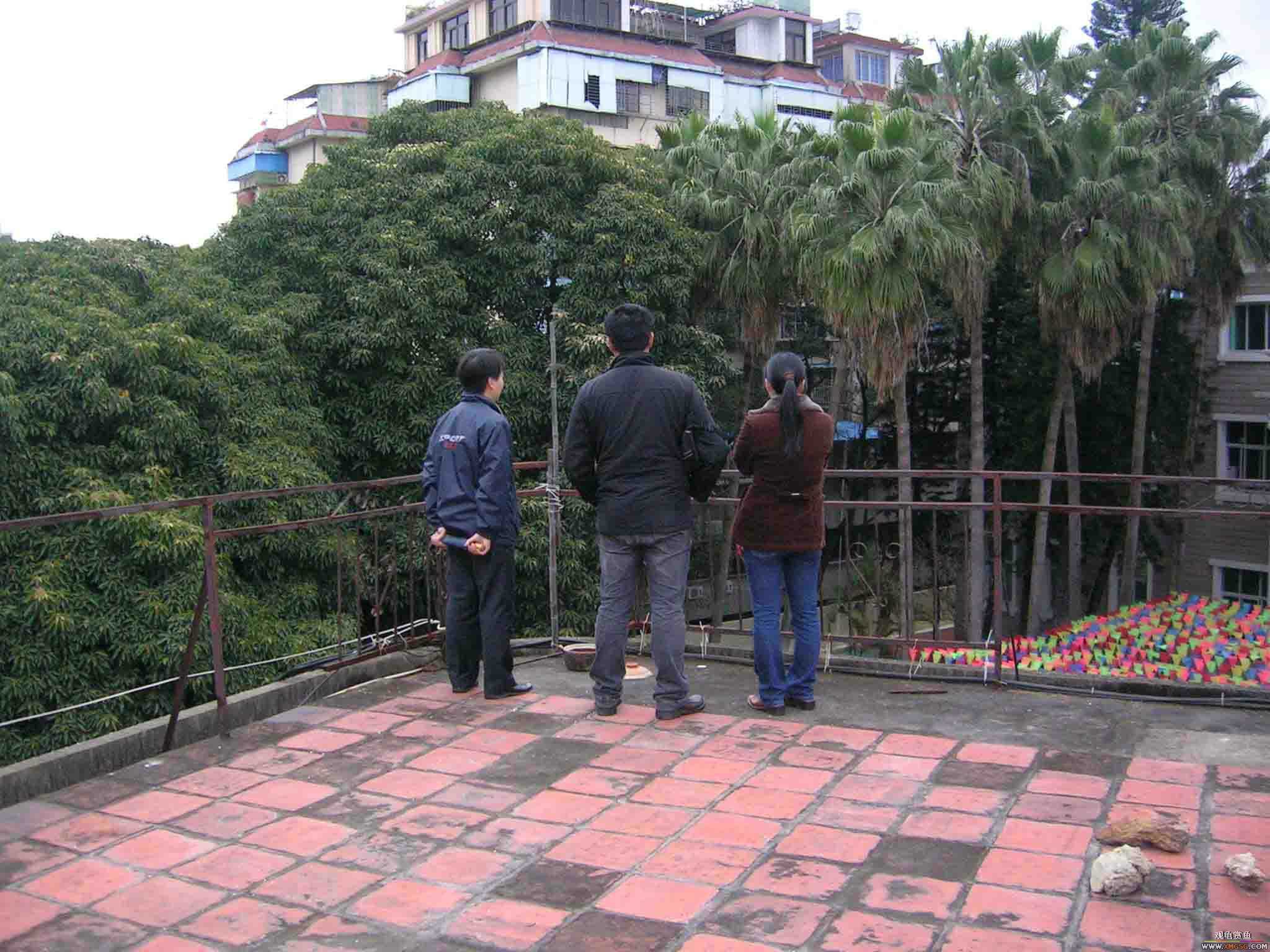 [ԭ��]1��21���伯��FB��PP(3)