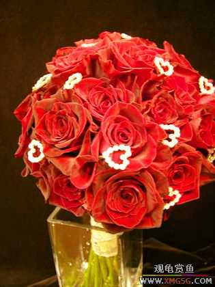 [����]ף ����  ��ʦ�»���֣�