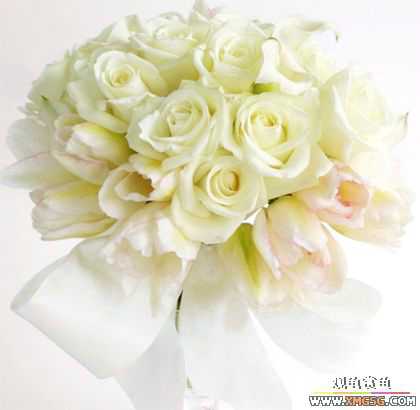 [����]ף ����  ��ʦ�»���֣�