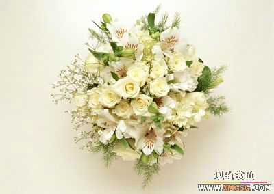 [����]ף ����  ��ʦ�»���֣�