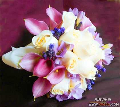 [����]ף ����  ��ʦ�»���֣�