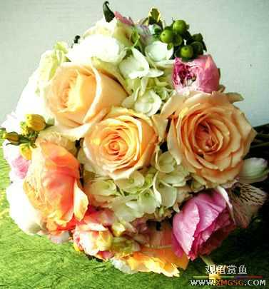 [����]ף ����  ��ʦ�»���֣�