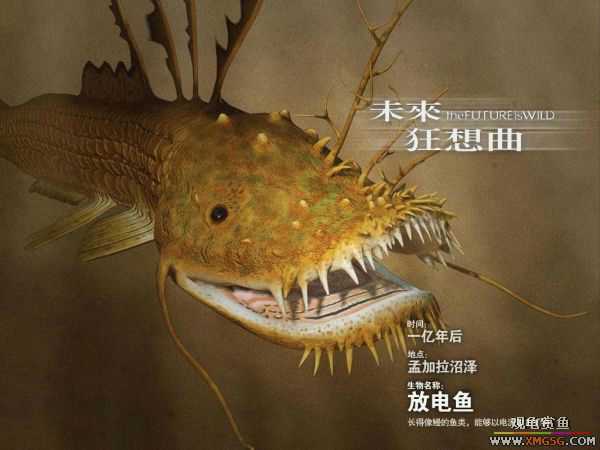 5�������Ժ������