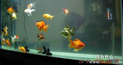 �ϵ�����