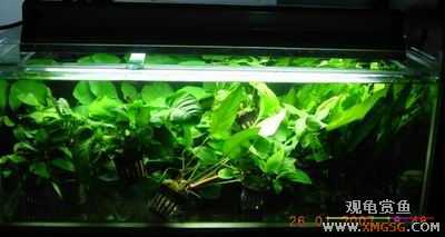 �ϵ�����