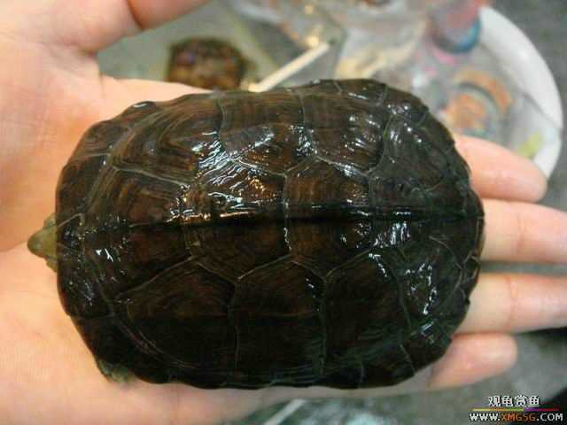 ���ݻ����г�һ����