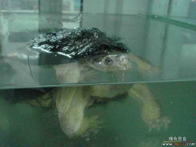 ���ݻ����г�һ����