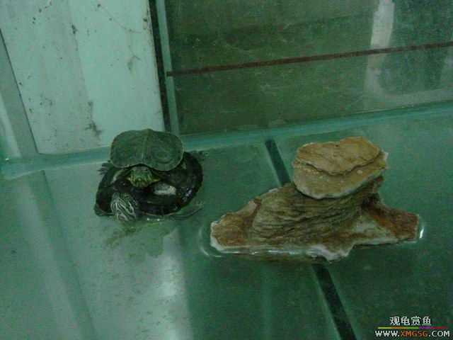 ���ݻ����г�һ����
