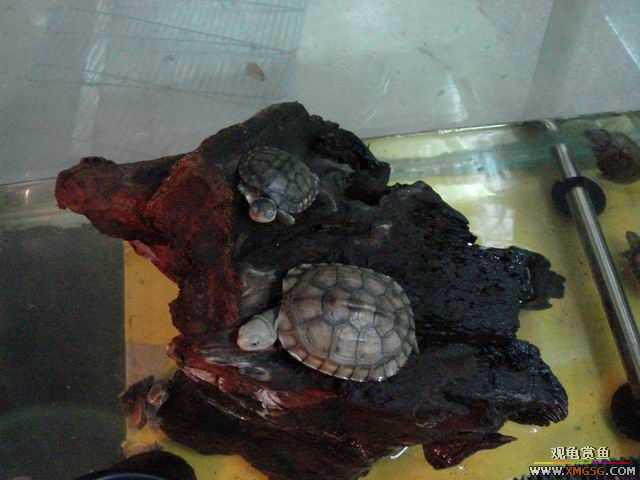 ���ݻ����г�һ����