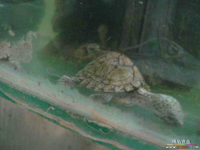���ݻ����г�һ����