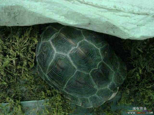 ���ݻ����г�һ����