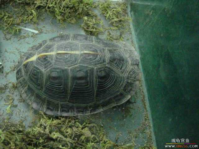 ���ݻ����г�һ����