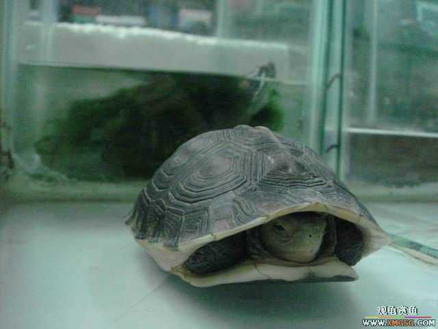 ���ݻ����г�һ����