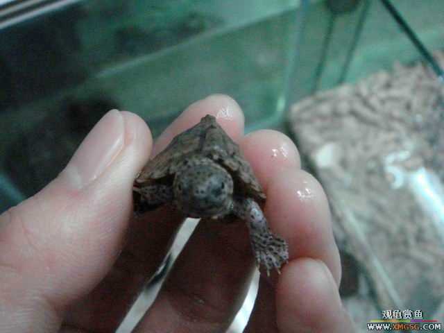 ���ݻ����г�һ����