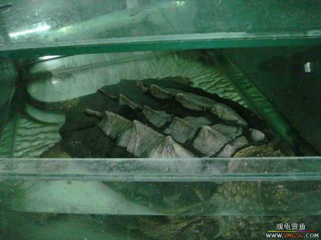 ���ݻ����г�һ����