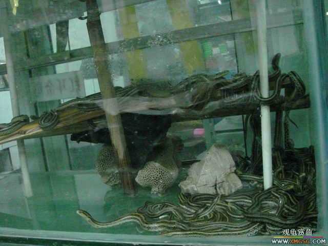 ���ݻ����г�һ����