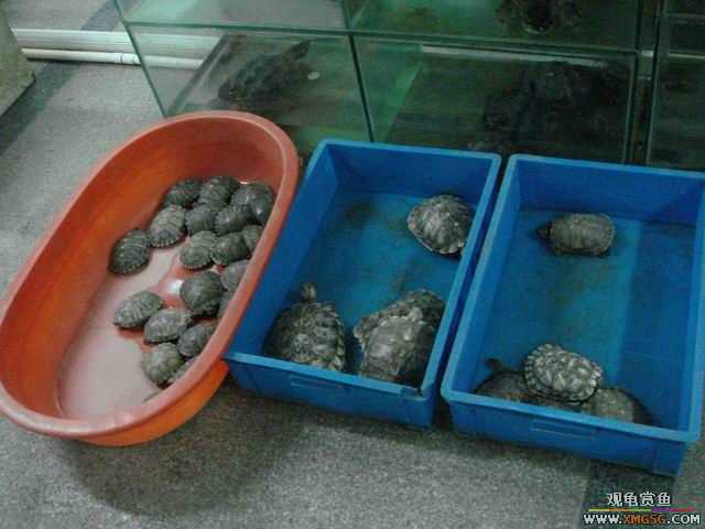 ���ݻ����г�һ����