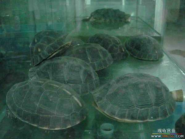 ���ݻ����г�һ����