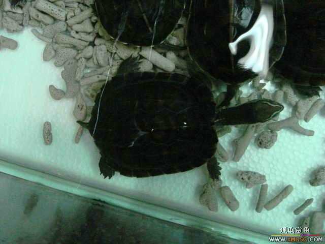 ���ݻ����г�һ����
