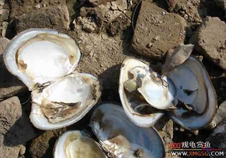 [����]С��"��ְ"ƪ