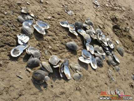 [����]С��"��ְ"ƪ