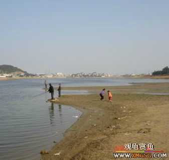 [����]С��"��ְ"ƪ