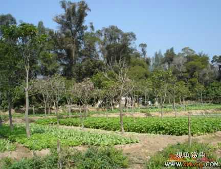 [����]С��"��ְ"ƪ